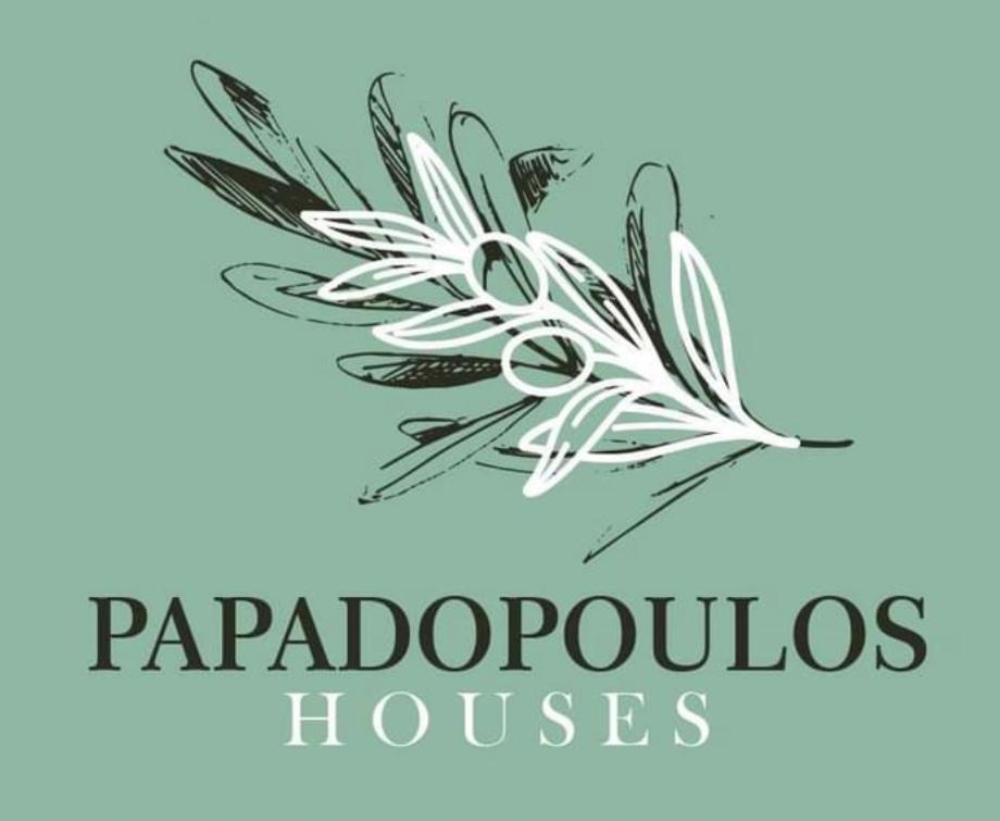 Papadopoulos Houses Nikiti  Luaran gambar