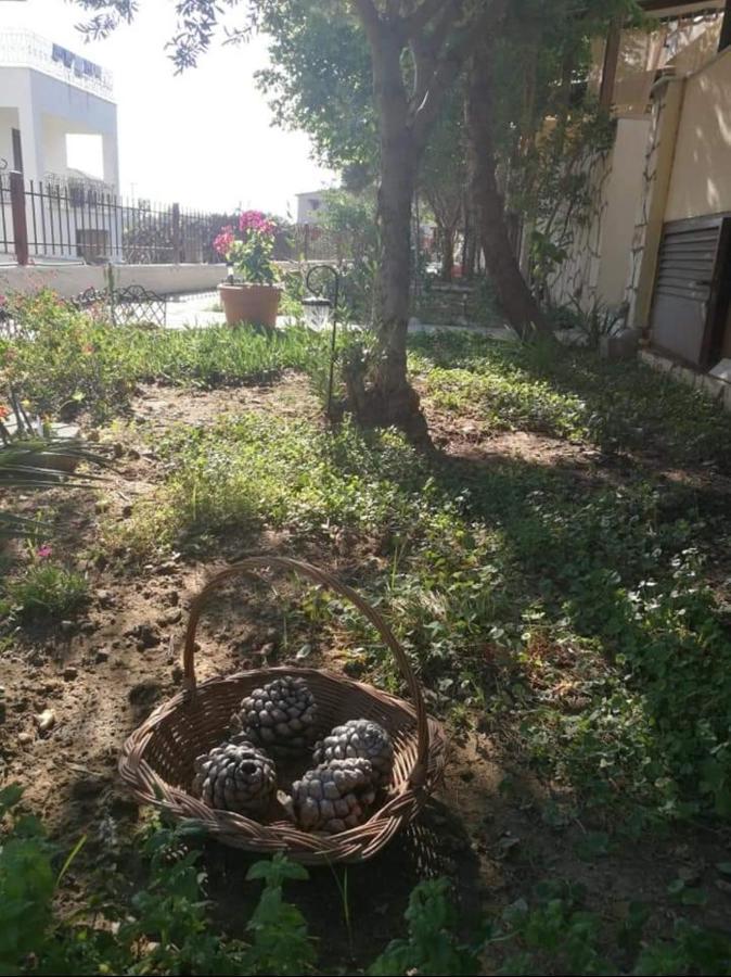 Papadopoulos Houses Nikiti  Luaran gambar