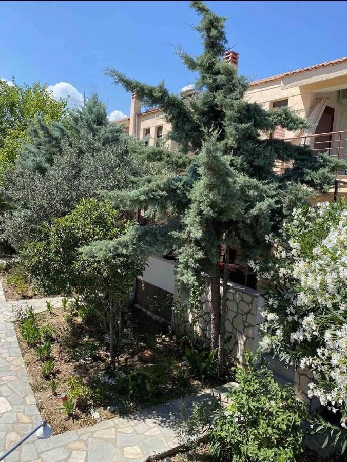 Papadopoulos Houses Nikiti  Luaran gambar